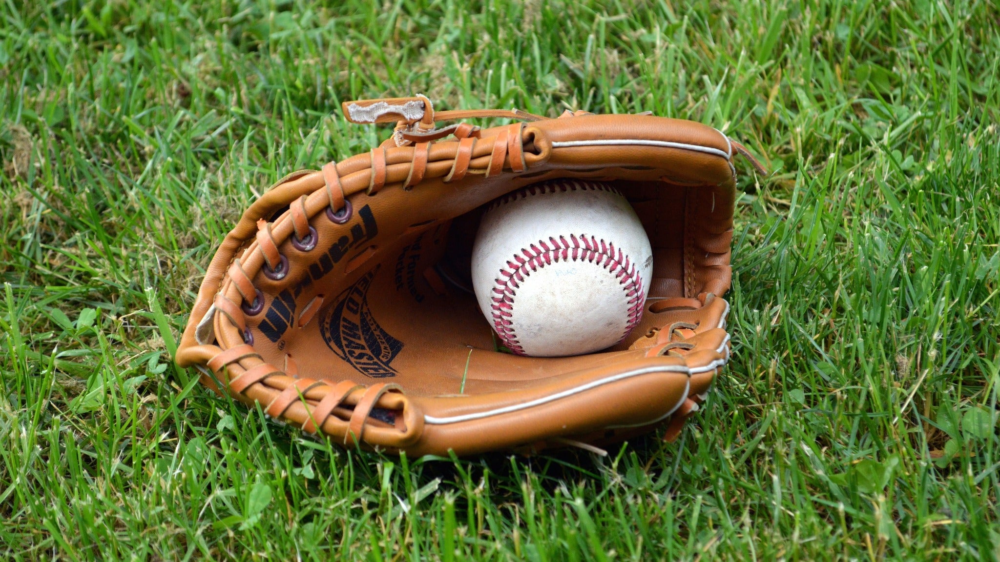 Lincoln Saltdogs vs. Kane County Cougars