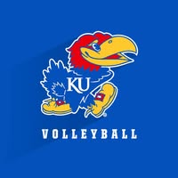 Horejsi Family Volleyball Arena