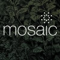 Mosaic Ultra Lounge